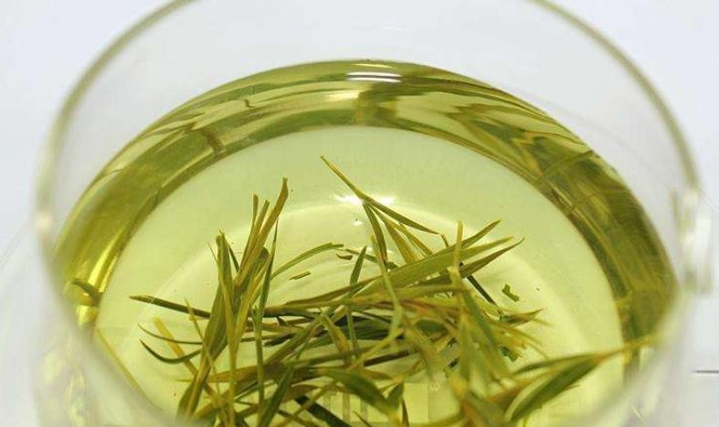 竹叶青茶叶的功效与作用喝竹叶茶不适合久煎竹叶