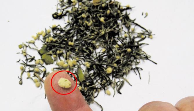 茶叶长白毛了，是发霉？怎样辨别茶叶是发霉了还是白毫？
