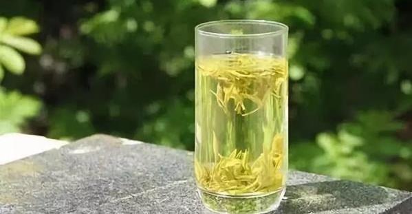 黄茶的保存有哪些方法？黄茶的保存要注意些什么？