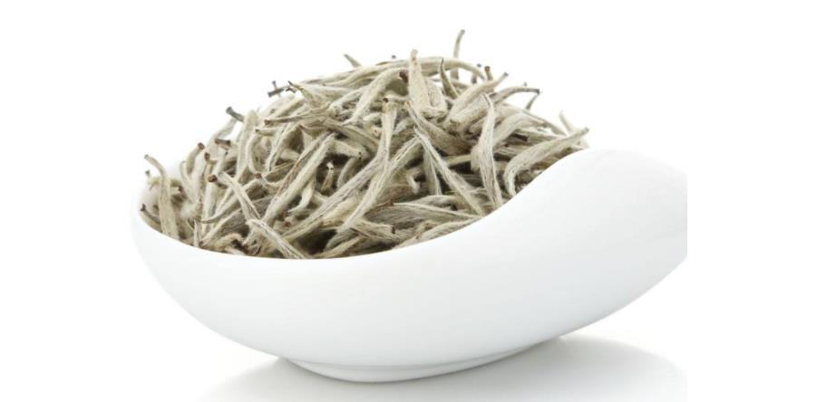 白毫银针白茶的功效和作用有哪些?