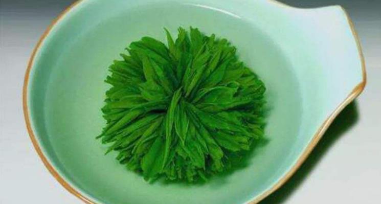 江山绿牡丹是什么茶？江山绿牡丹茶的简介