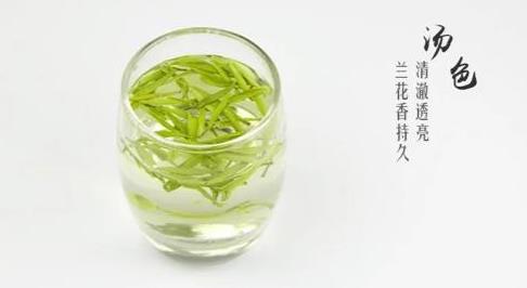 江西绿茶婺源仙芝的口感和特点