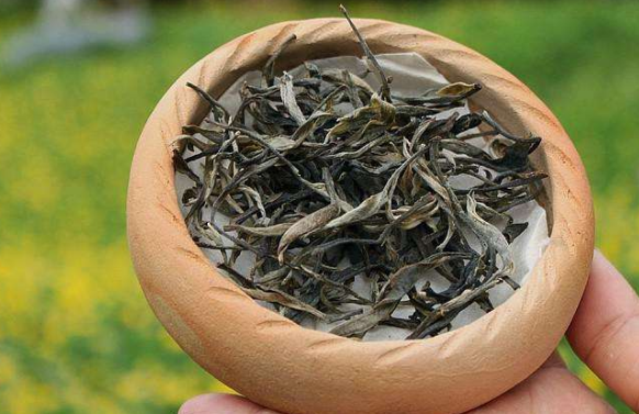 普洱生茶的特点是什么