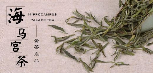 海马宫茶属于什么茶