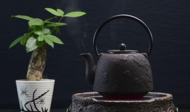 茶水可以浇花吗，茶水妙用