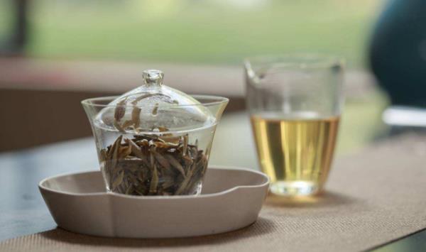女人喝白茶的好处，白茶用途和功效