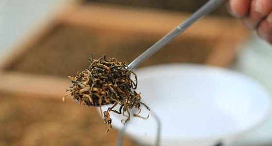 滇红工夫红茶有怎样的品质特点？