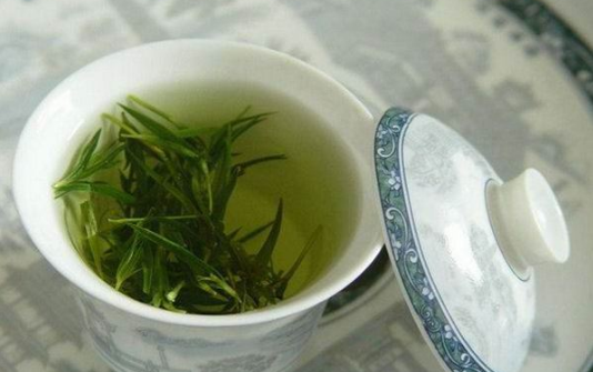 仙人掌茶是什么茶