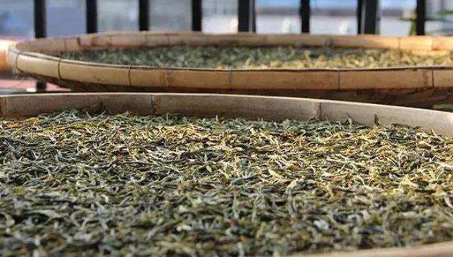普洱茶原料加工的干燥方式主要是什么