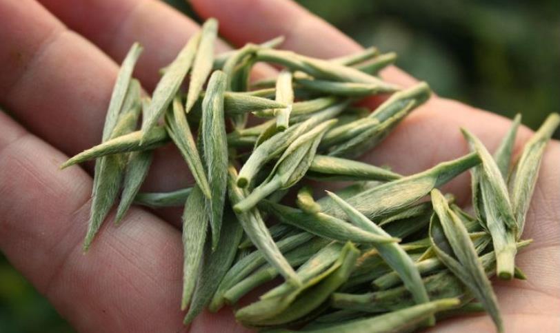 富硒茶产地在哪里，中国富硒茶都产自这几个地方