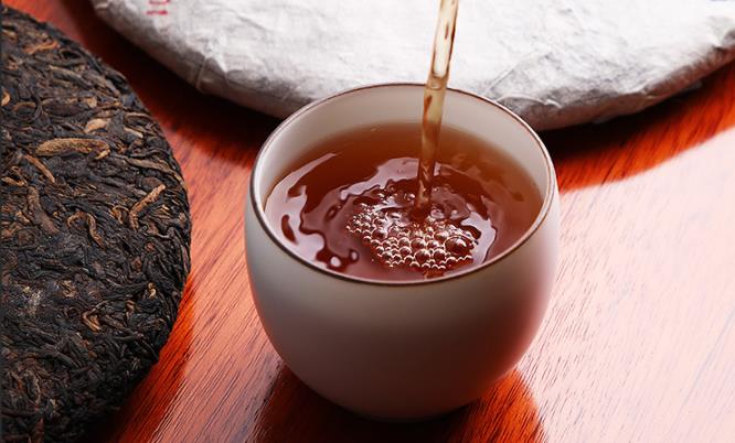 普洱茶是什么茶树