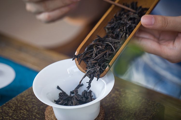 福建武夷山茶叶品种