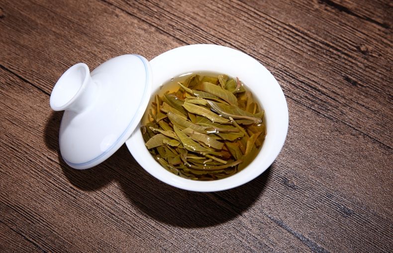普洱茶为什么有樟香气味，真相源于樟树林