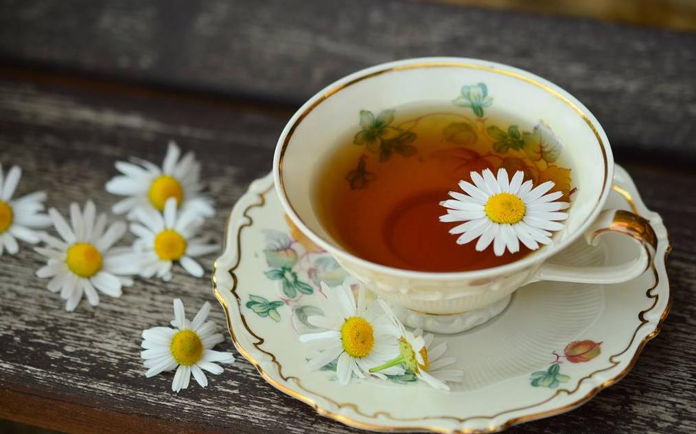 菊花和红茶的功效与作用及禁忌症