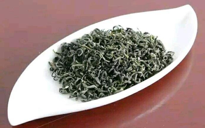 崂山绿茶多少水温冲茶