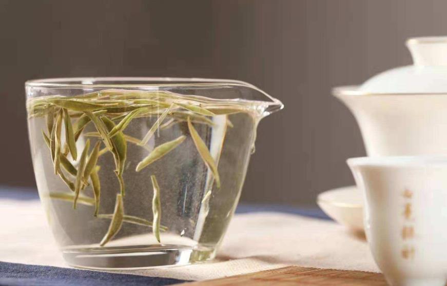 一文读懂白茶，为何白茶是六大茶类种的另类