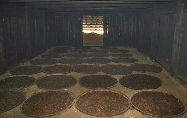 4,发酵红茶发酵过程的实质是使茶叶中原本无色的多酚类物质,在多酚类