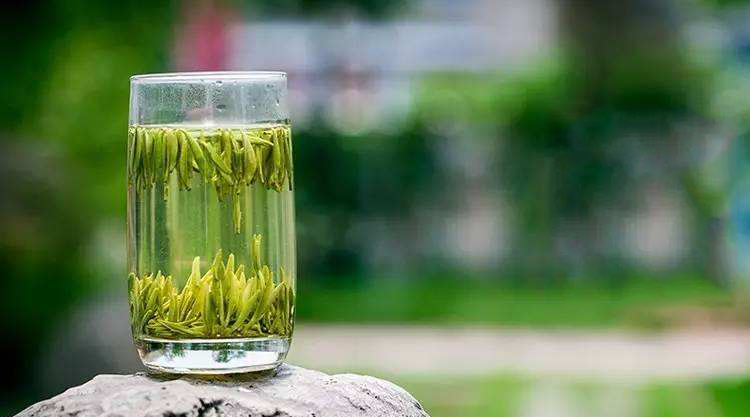 绿茶的属性和主要功效