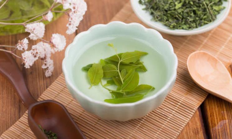 酸枣茶的功效与作用及食用方法