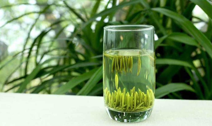 陕南绿茶的种类有哪些