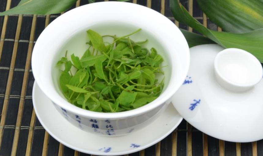 贵州余庆发酵小叶苦丁茶的功效与作用