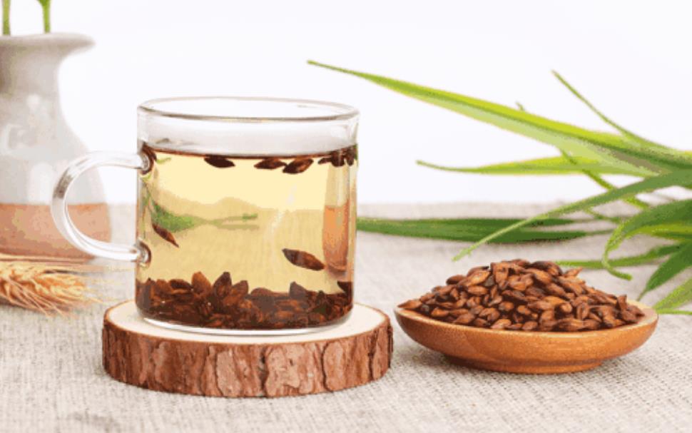 大麦茶的功效与作用禁忌及食用方法