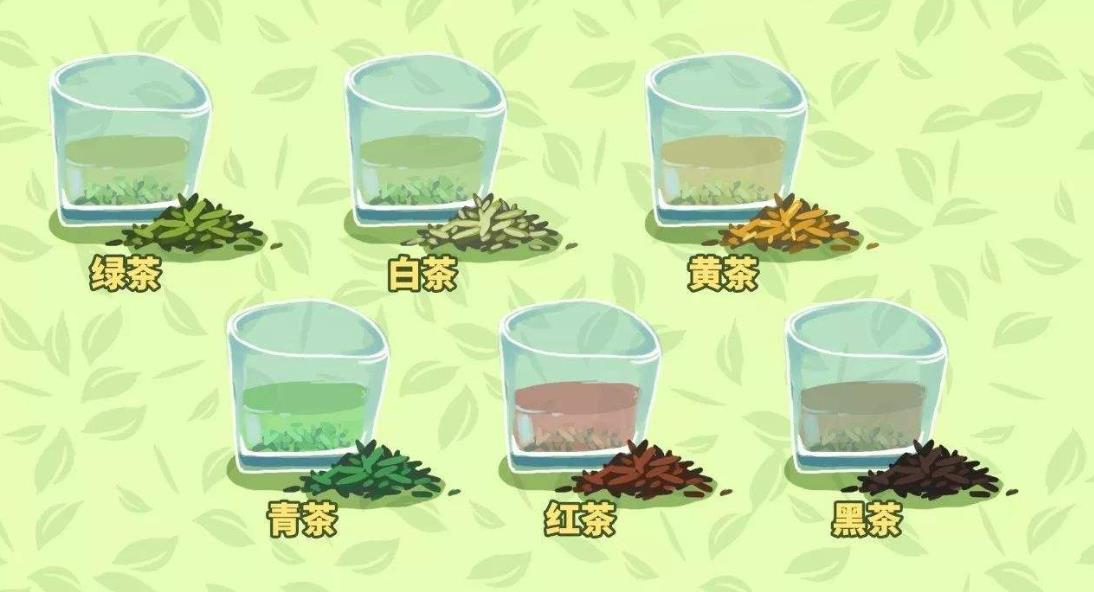 茶按发酵程度不同可以分为
