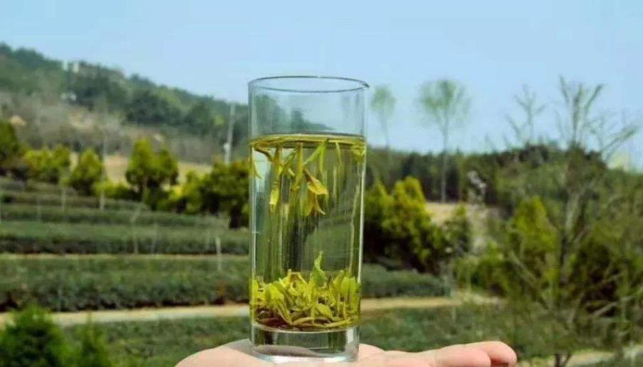 日照绿茶用多少度的水泡最好