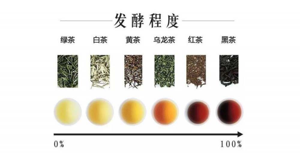 茶叶寒性热性对照表图片