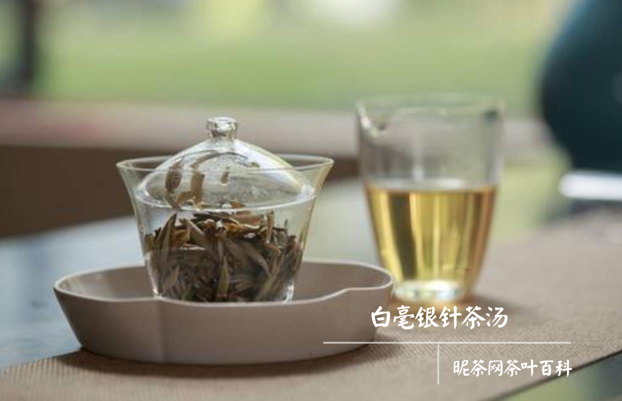 长期饮用白茶的副作用