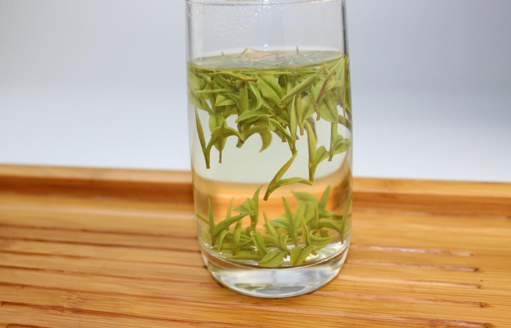资溪白茶属于绿茶吗
