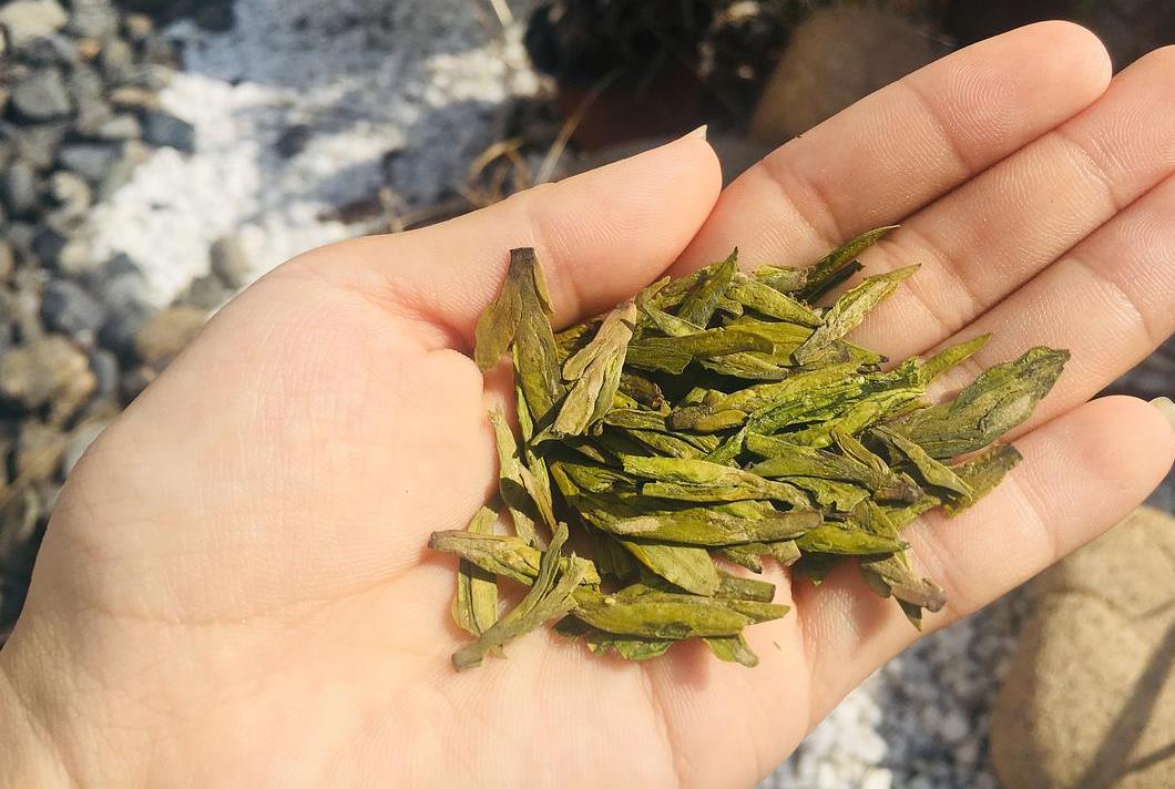 西湖龙井是绿茶还是红茶