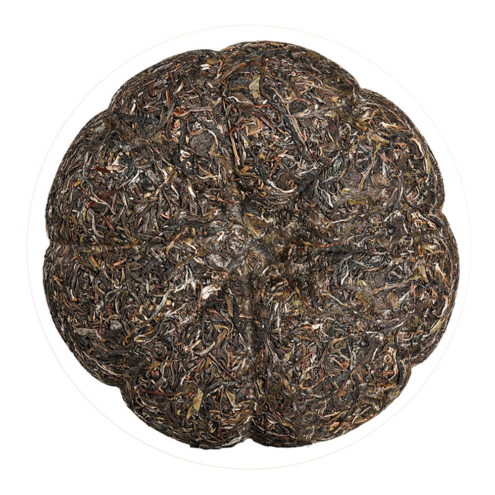 金瓜贡茶外形