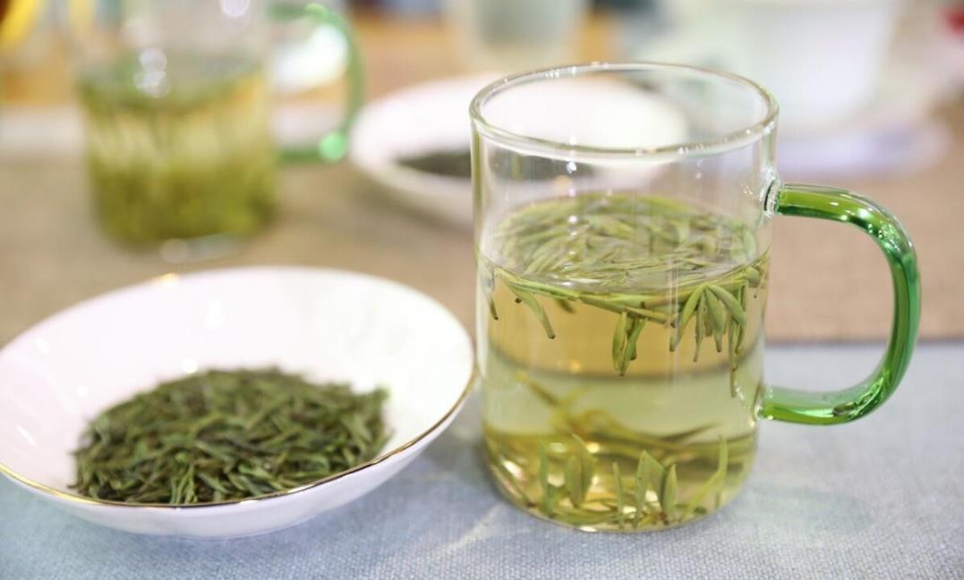 绿茶是凉性还是温性