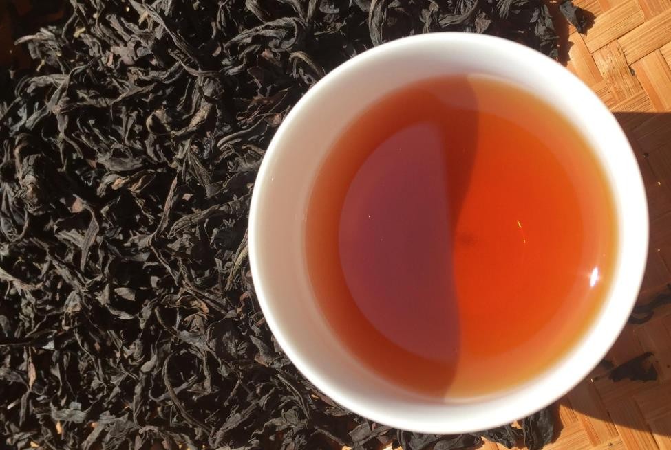 乌龙茶红茶的发源地