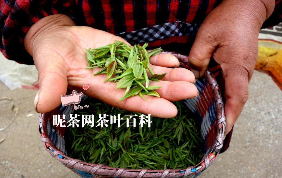 手工绿茶的制作方法