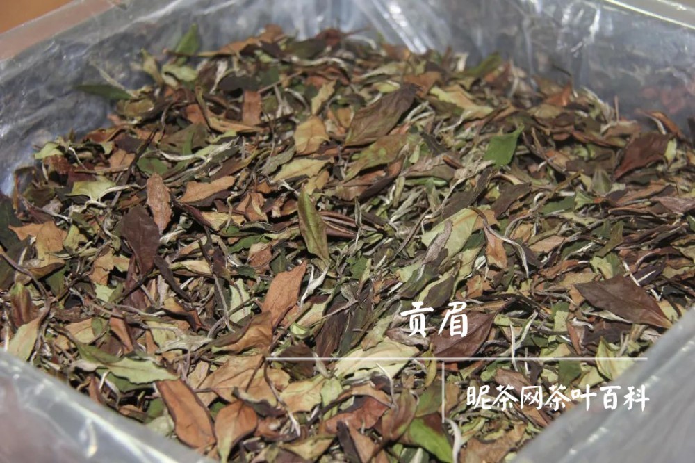 白茶和绿茶的区别(白茶和绿茶的区别功效与作用)