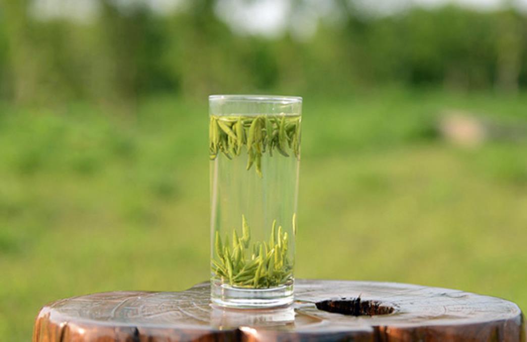 绿茶适合什么季节