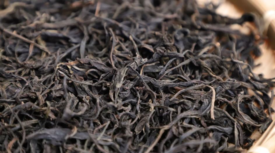 紫芽茶属于什么茶