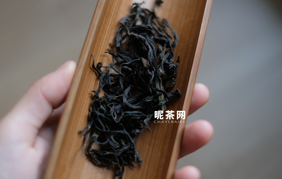 凤凰单丛茶是属于什么茶，有什么特点