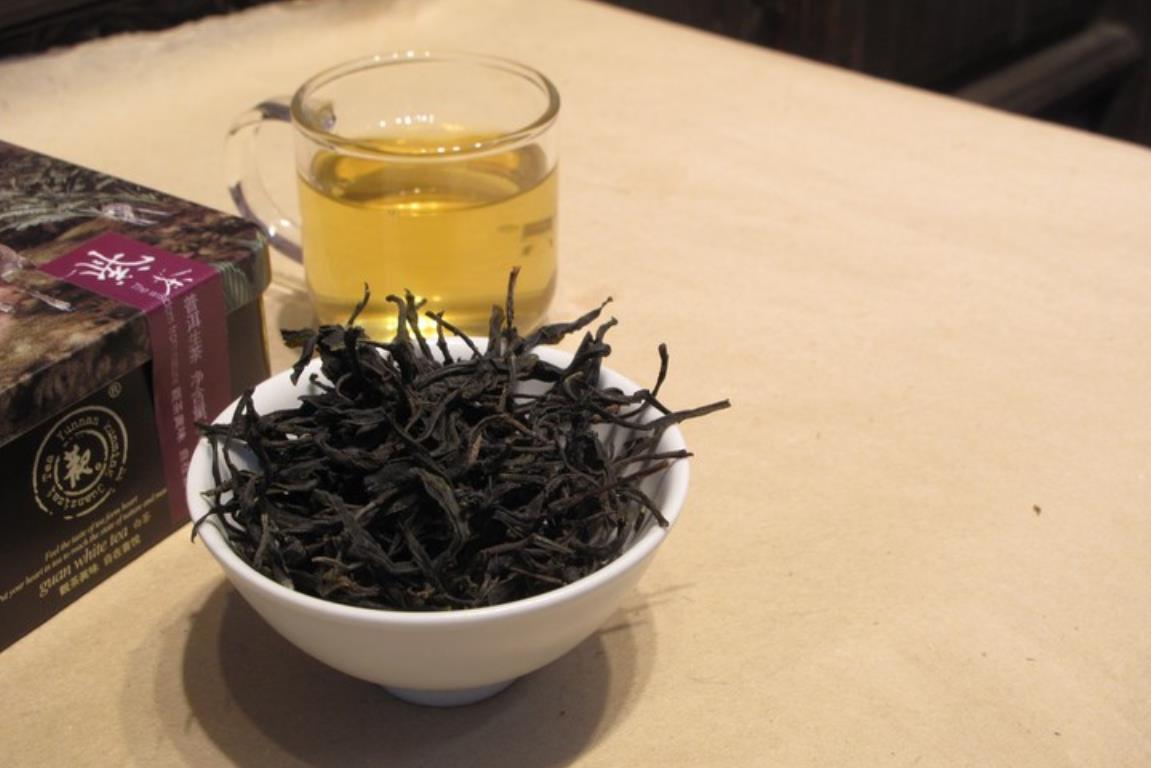 紫芽茶为什么不能加工成绿茶