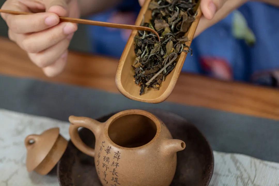 桂花白茶是什么茶