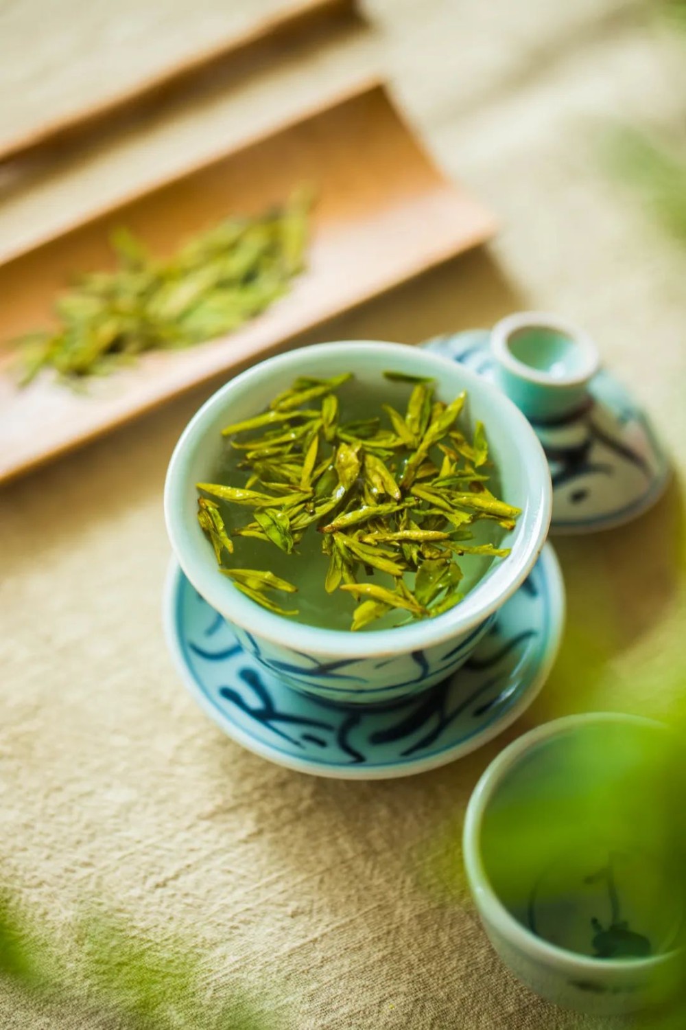 早春绿茶之味，是多少茶人的心头所好