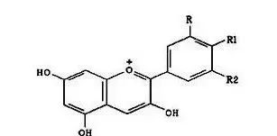 花青素分子结构