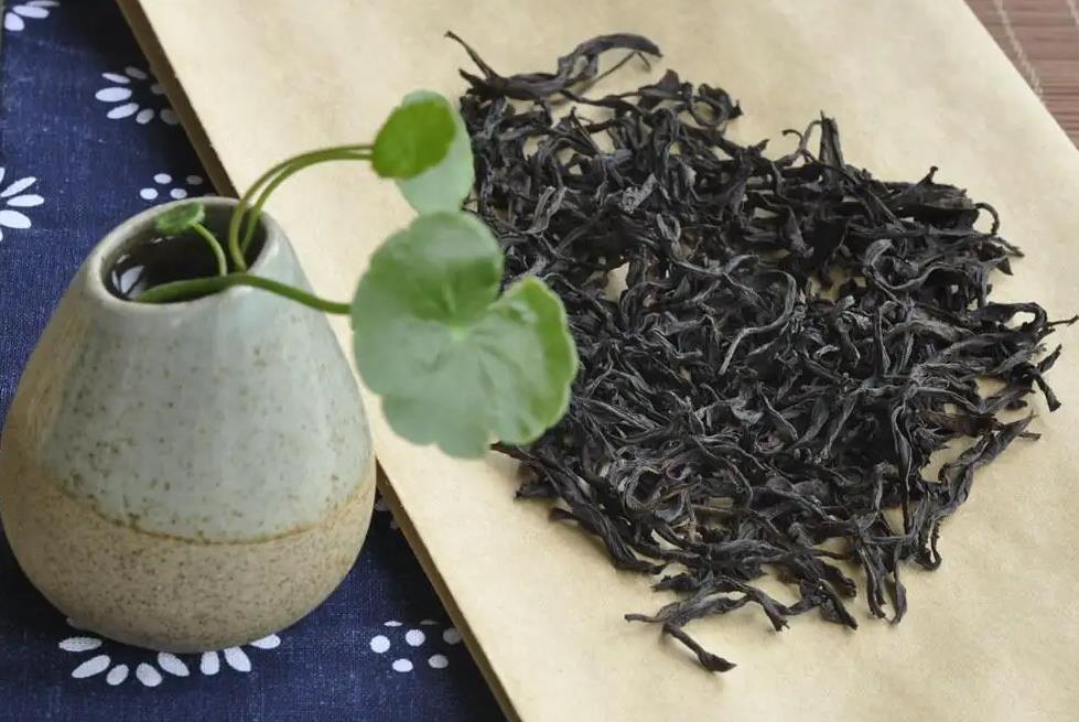 单丛茶的品种有哪些