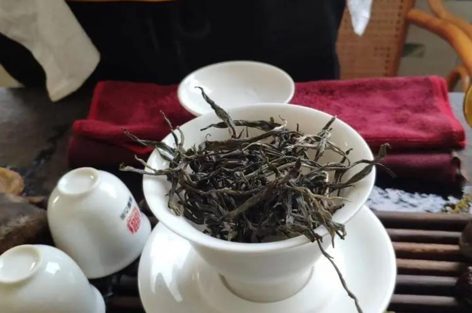 迷帝古树茶属于哪个茶区