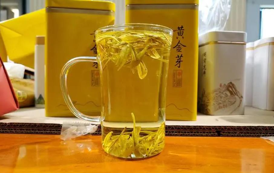黄金芽茶的产地在哪里 黄金芽茶特点介绍