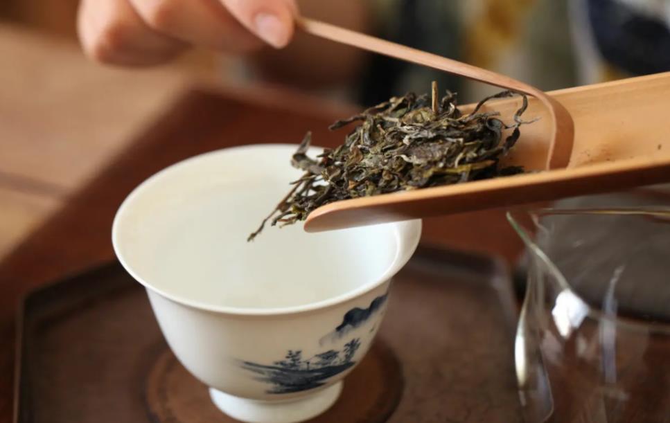 普洱茶为什么比其它茶叶更耐泡