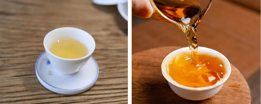 左图为新白茶，右图为老白茶