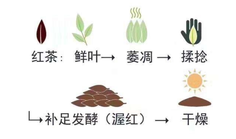 全发酵茶红茶的工艺
